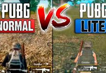 Difference between PUBG and PUBG Lite Difference between pubg and pubg lite